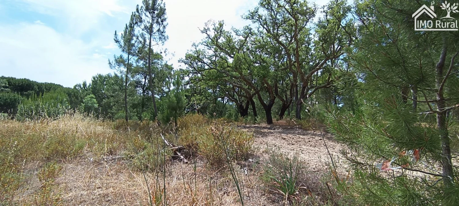 Terreno para Venda em São Jose da Lamarosa Foto 23