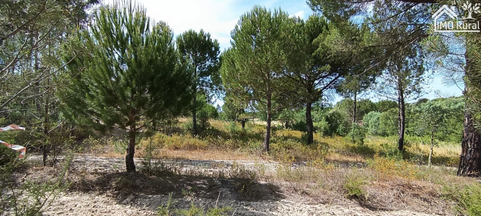 Terreno para Venda em São Jose da Lamarosa Foto 49