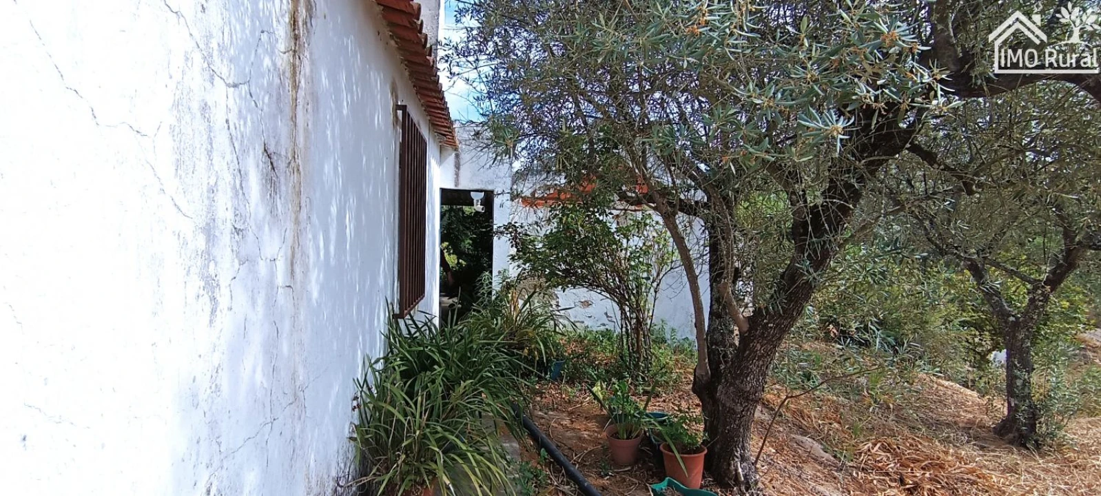 Terreno para Venda em São Jose da Lamarosa Foto 55