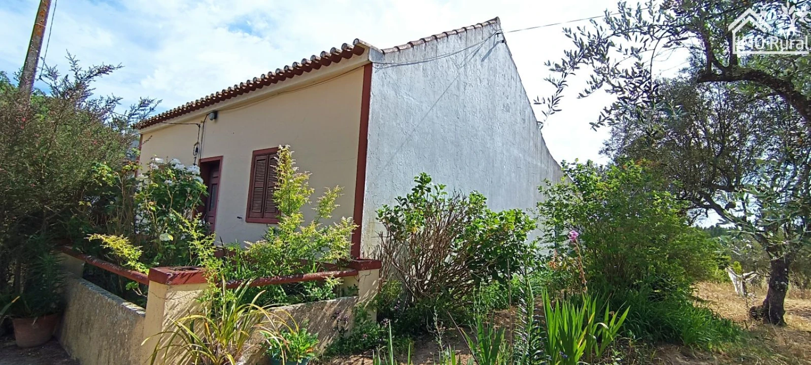 Terreno para Venda em São Jose da Lamarosa Foto 5