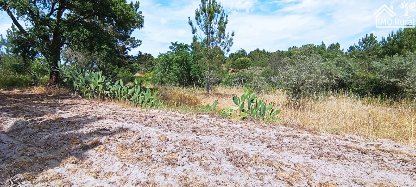 Terreno para Venda em São Jose da Lamarosa Foto 37