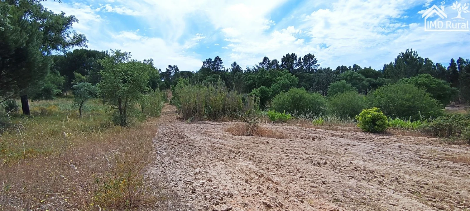 Terreno para Venda em São Jose da Lamarosa Foto 14