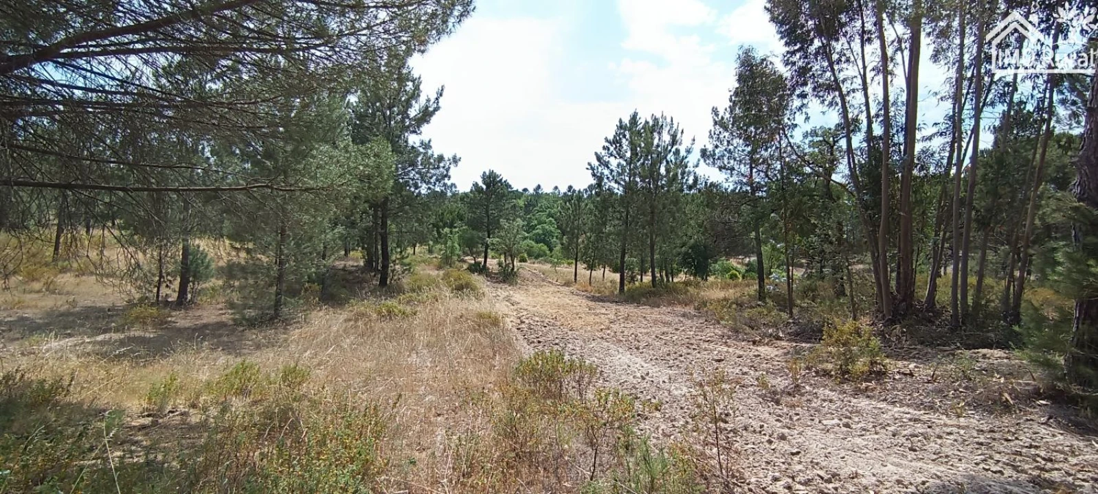 Terreno para Venda em São Jose da Lamarosa Foto 41