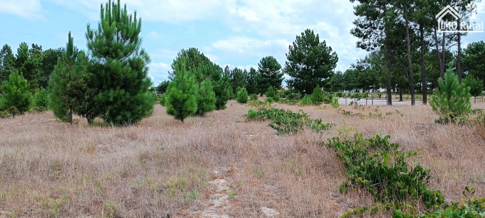 Terreno para Venda em Salvaterra de Magos e Foros de Salvaterra Foto 15