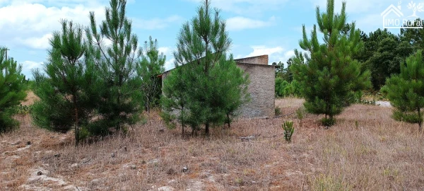 Terreno para Venda em Salvaterra de Magos e Foros de Salvaterra