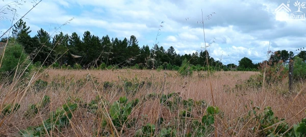 Terreno para Venda em Salvaterra de Magos e Foros de Salvaterra
