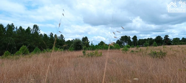 Terreno para Venda em Salvaterra de Magos e Foros de Salvaterra