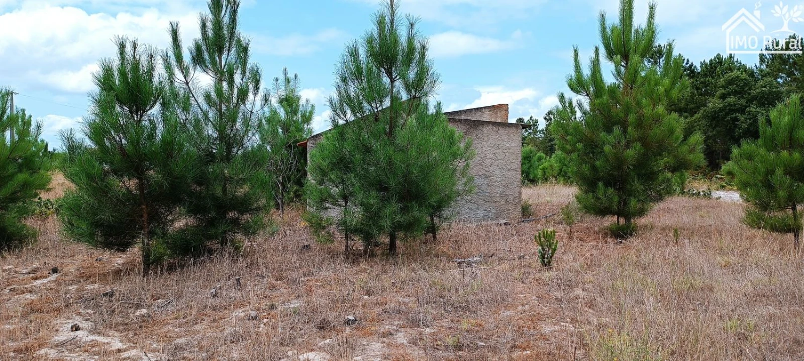 Terreno para Venda em Salvaterra de Magos e Foros de Salvaterra Foto 14