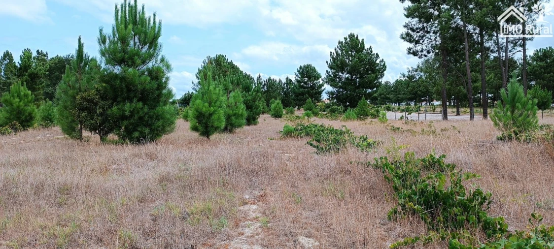 Terreno para Venda em Salvaterra de Magos e Foros de Salvaterra Foto 15