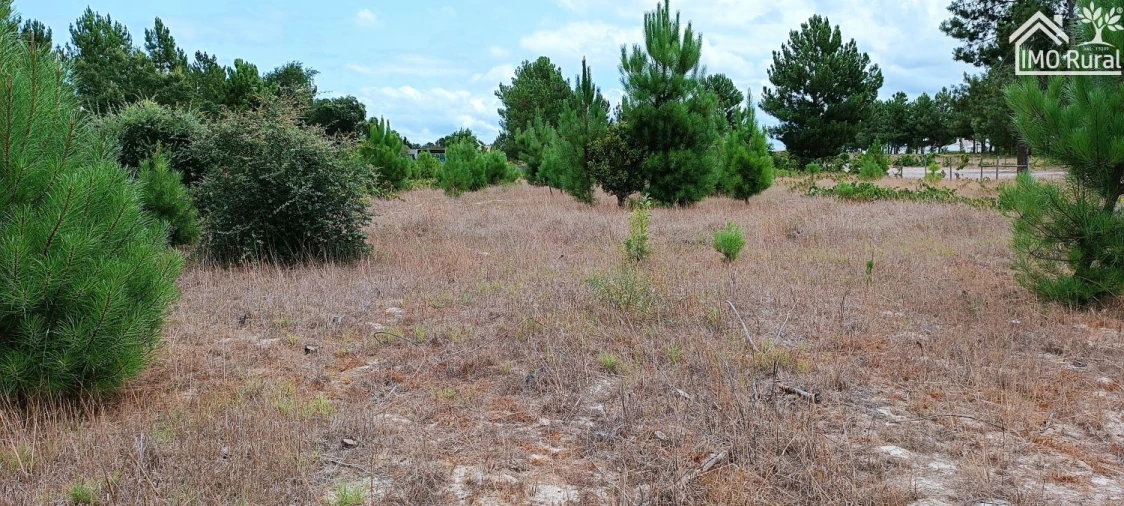 Terreno para Venda em Salvaterra de Magos e Foros de Salvaterra Foto 13