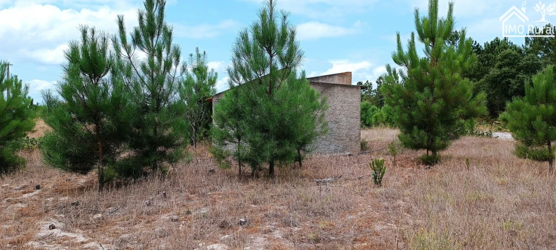 Terreno para Venda em Salvaterra de Magos e Foros de Salvaterra Foto 14