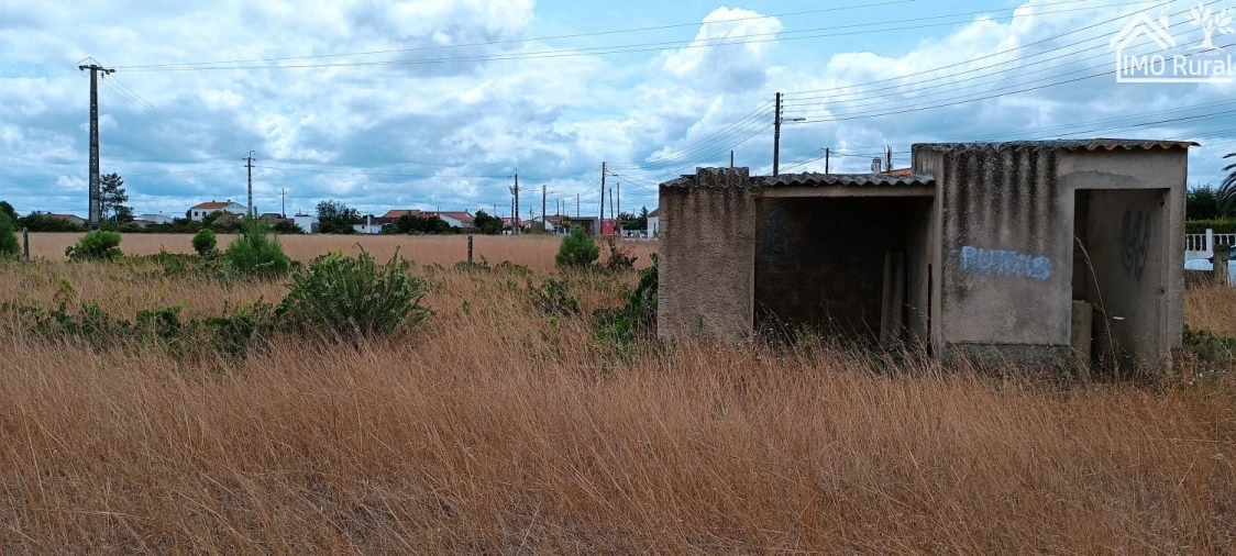 Terreno para Venda em Salvaterra de Magos e Foros de Salvaterra Foto 5