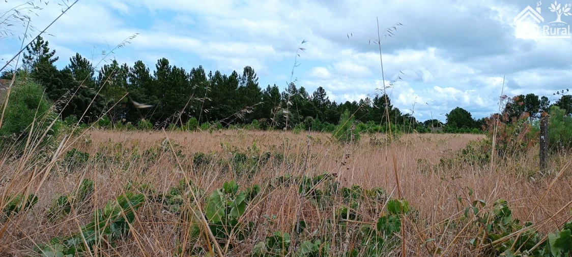 Terreno para Venda em Salvaterra de Magos e Foros de Salvaterra Foto 2