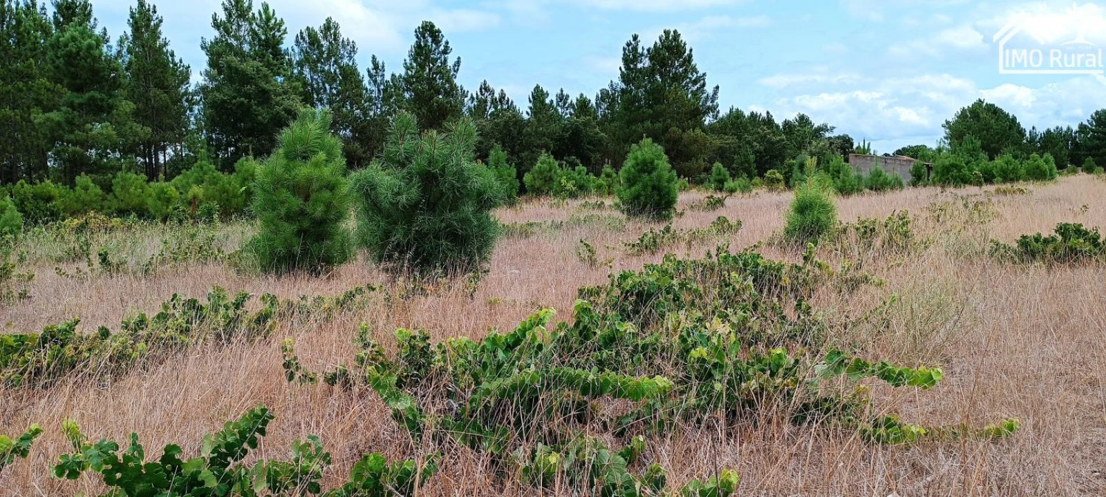 Terreno para Venda em Salvaterra de Magos e Foros de Salvaterra Foto 10