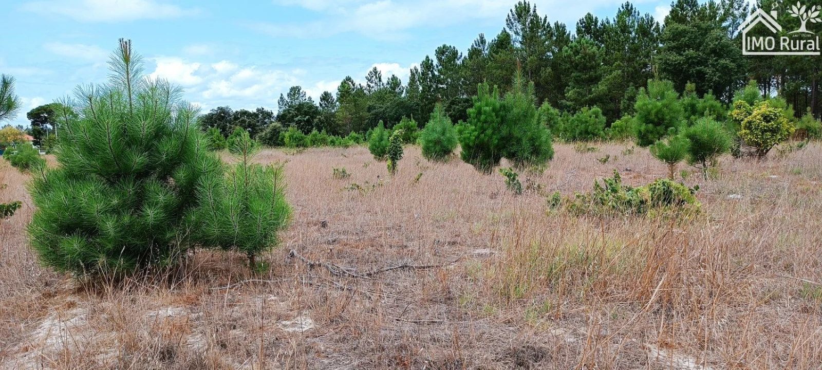 Terreno para Venda em Salvaterra de Magos e Foros de Salvaterra Foto 16