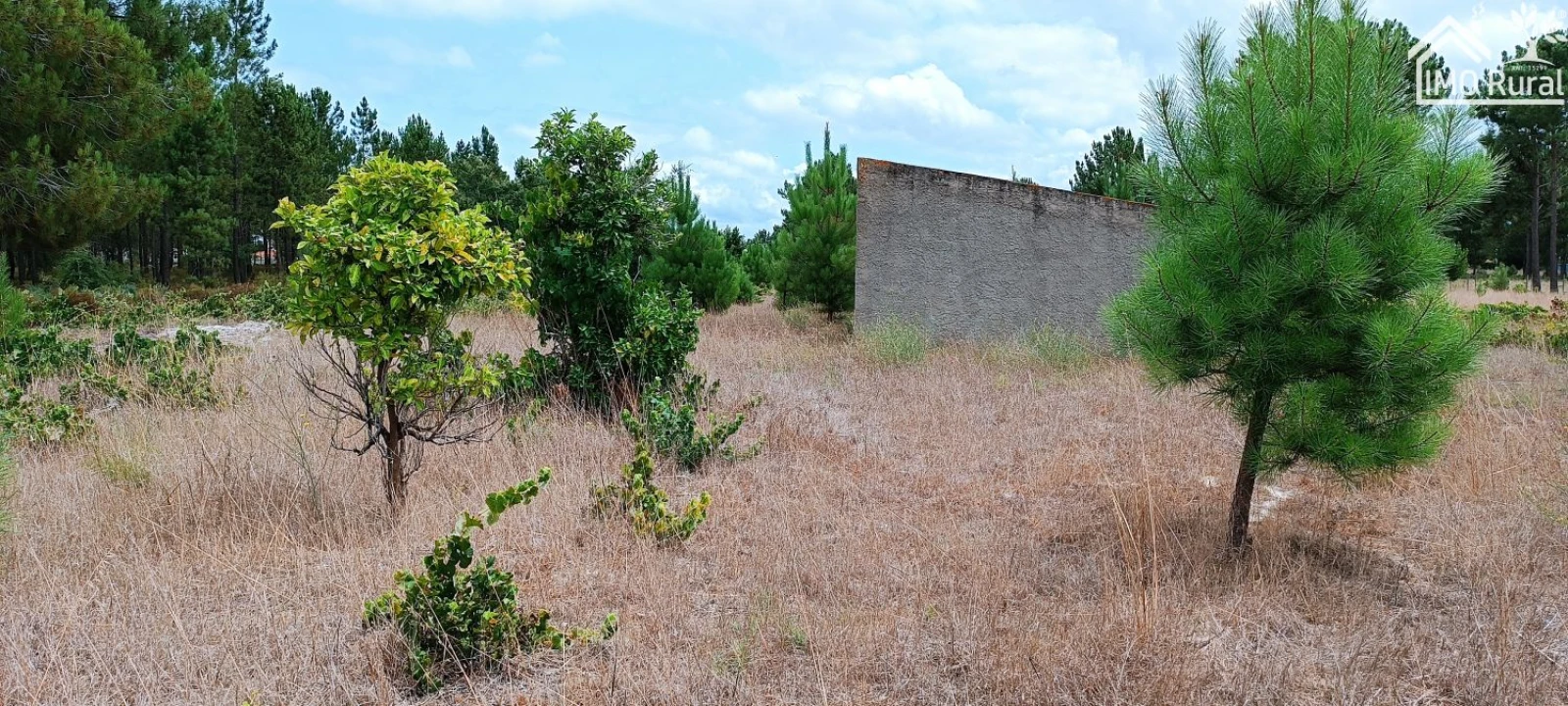 Terreno para Venda em Salvaterra de Magos e Foros de Salvaterra Foto 4