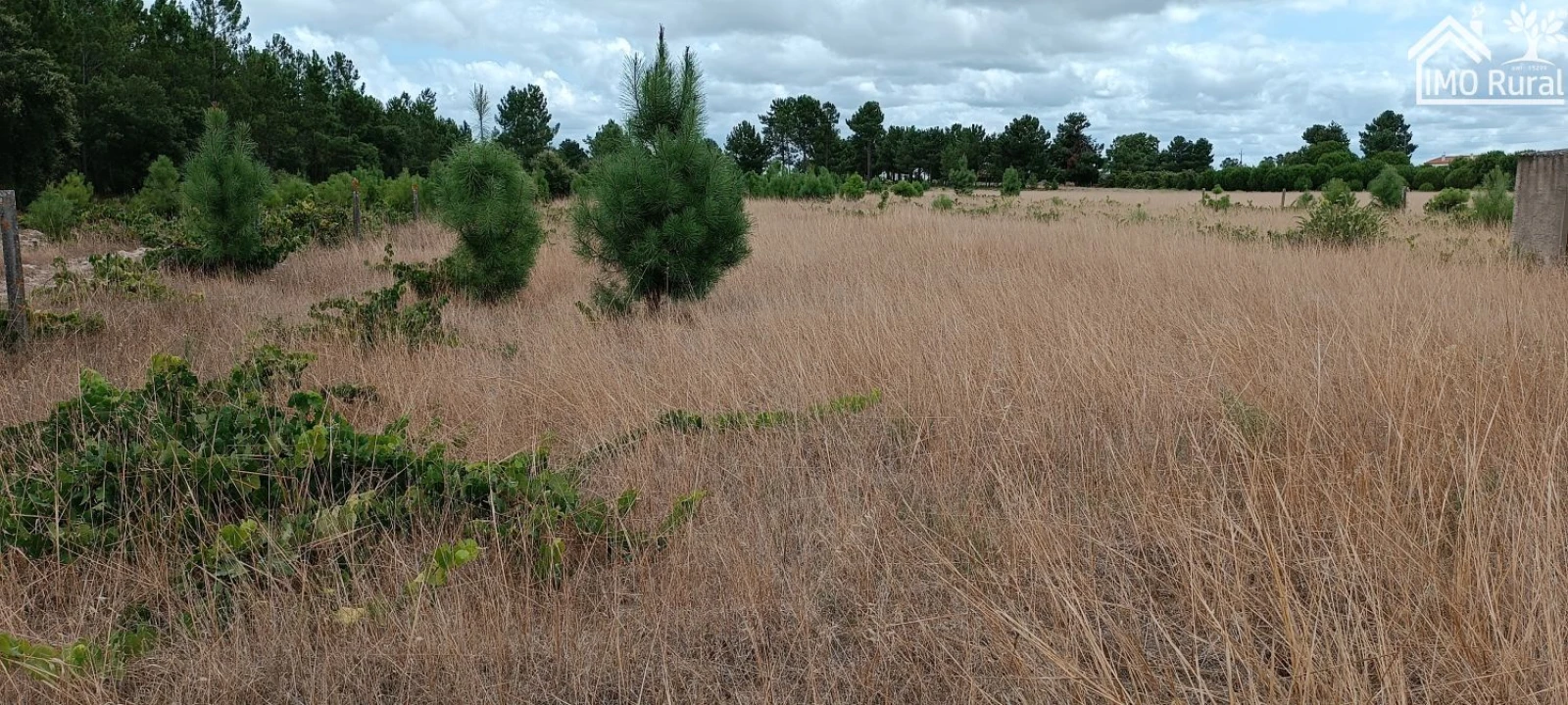 Terreno para Venda em Salvaterra de Magos e Foros de Salvaterra Foto 6