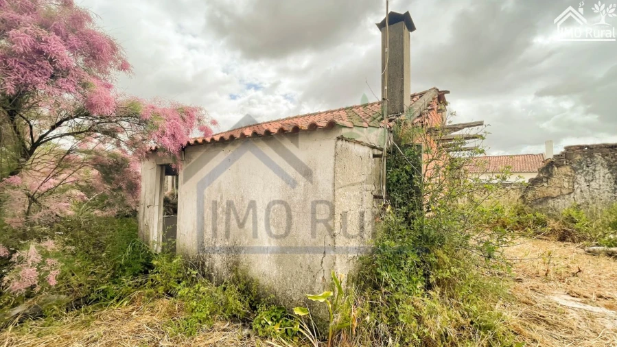 Moradia T3 para Venda em Brogueira, Parceiros de Igreja e Alcorochel Foto 10