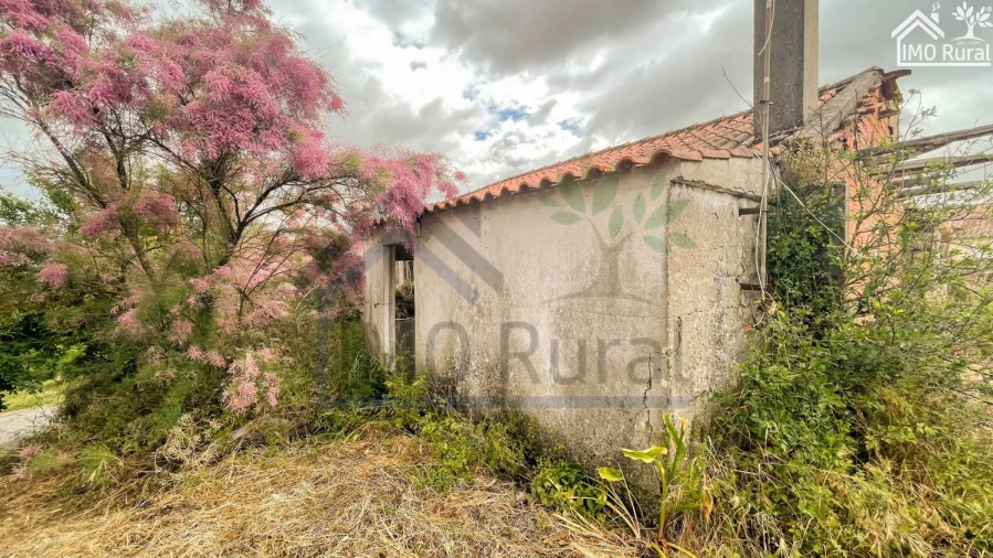 Moradia T3 para Venda em Brogueira, Parceiros de Igreja e Alcorochel Foto 9