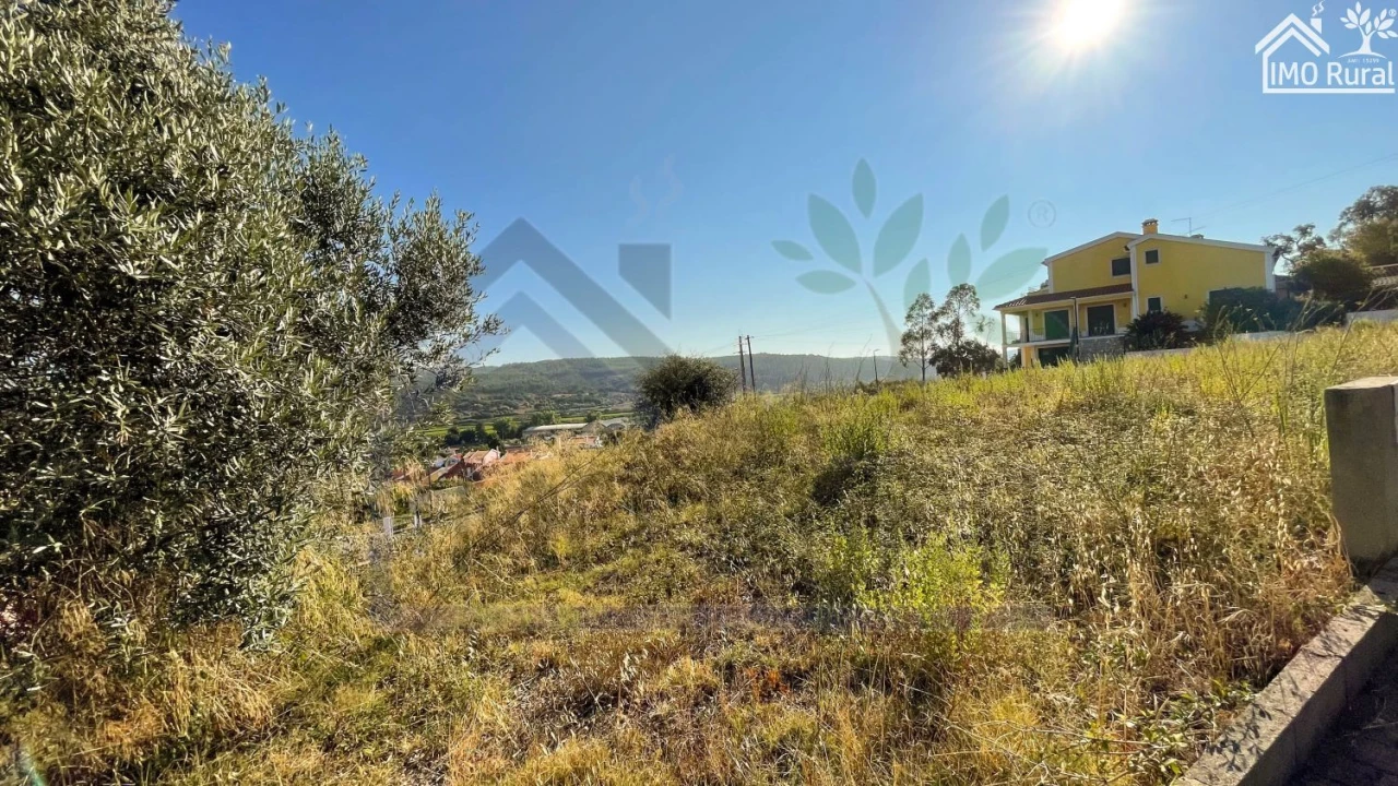 Terreno para Venda em Ulme Foto 11