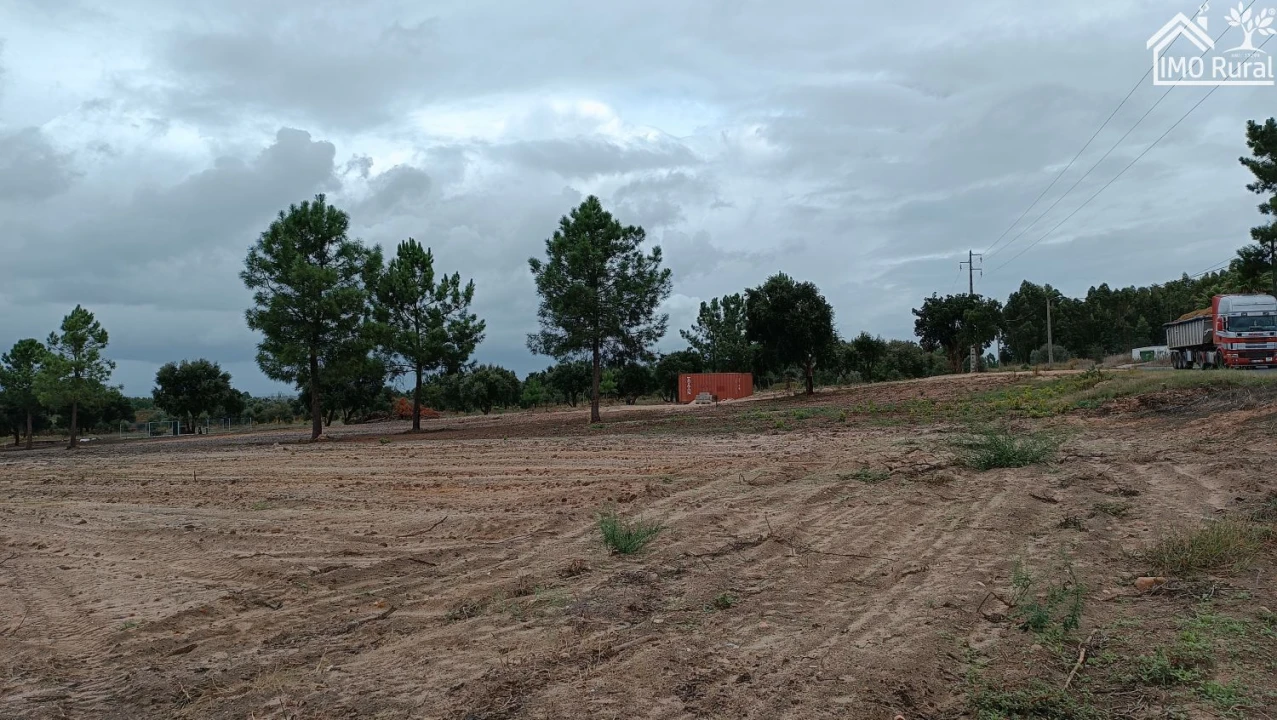 Terreno para Venda em Alpiarça Foto 15