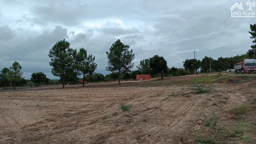 Terreno para Venda em Alpiarça Foto 15