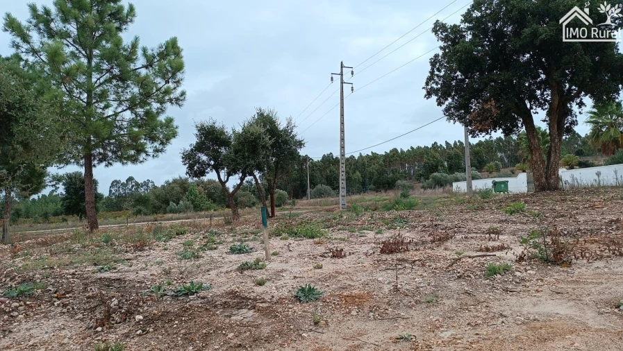 Terreno para Venda em Alpiarça Foto 20