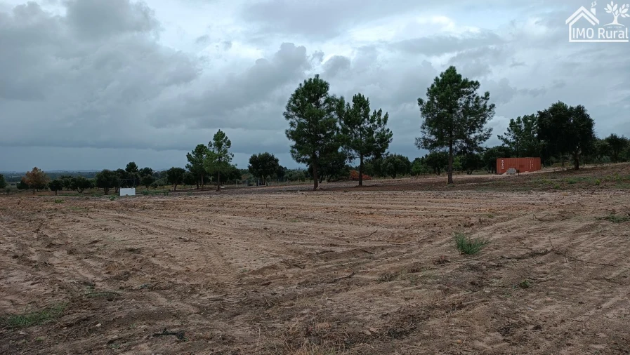 Terreno para Venda em Alpiarça Foto 12