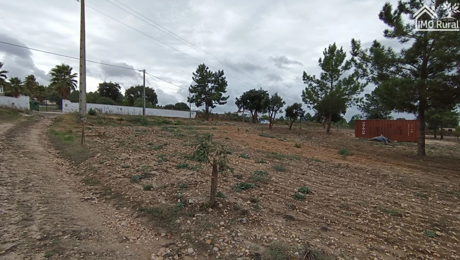 Terreno para Venda em Alpiarça Foto 19