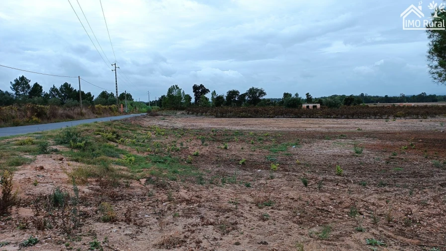 Terreno para Venda em Alpiarça Foto 17