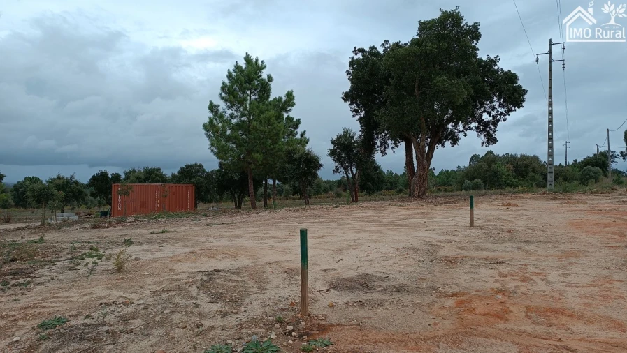 Terreno para Venda em Alpiarça Foto 13