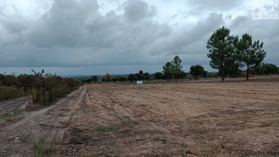Terreno para Venda em Alpiarça Foto 14