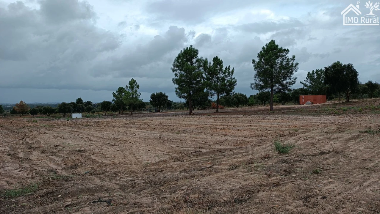 Terreno para Venda em Alpiarça Foto 12