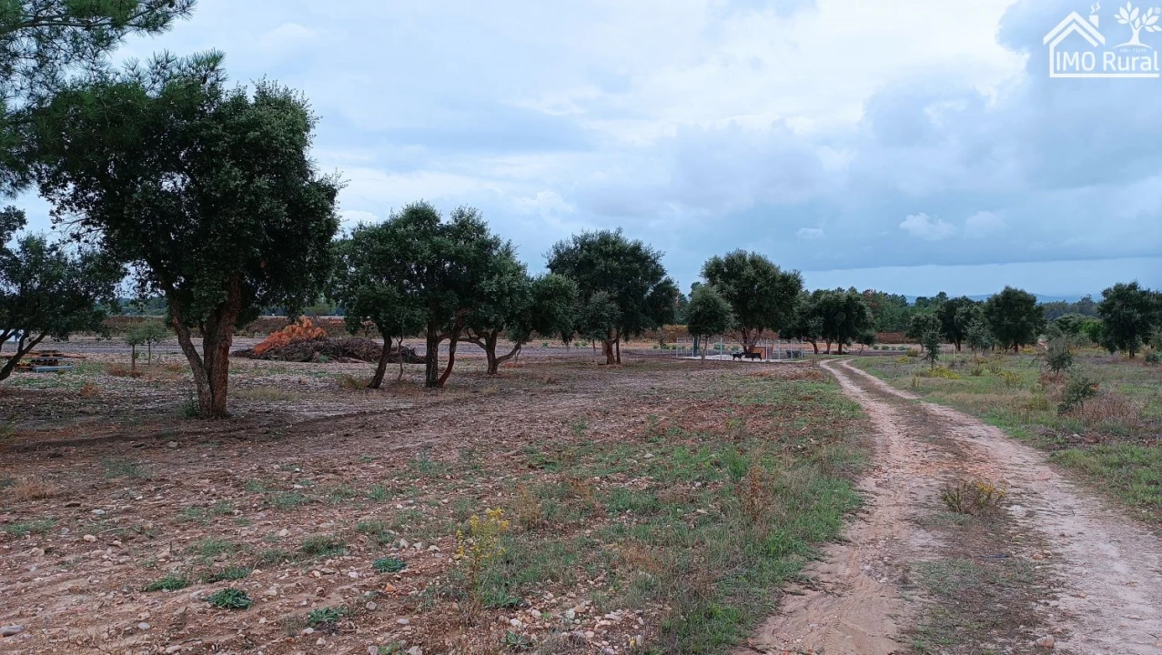 Terreno para Venda em Alpiarça Foto 1