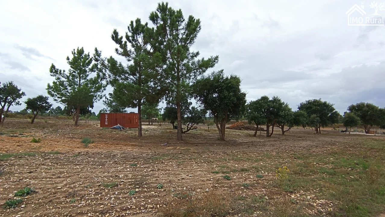 Terreno para Venda em Alpiarça Foto 2