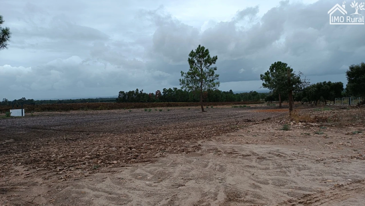 Terreno para Venda em Alpiarça Foto 8