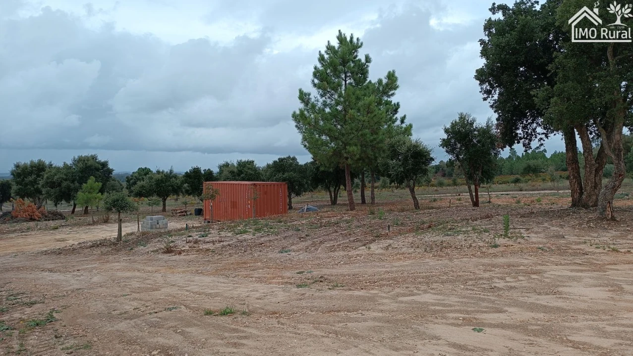 Terreno para Venda em Alpiarça Foto 11