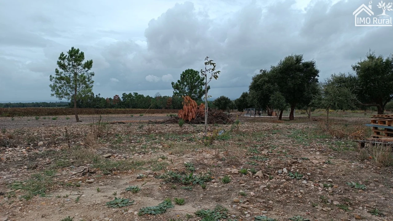 Terreno para Venda em Alpiarça Foto 7