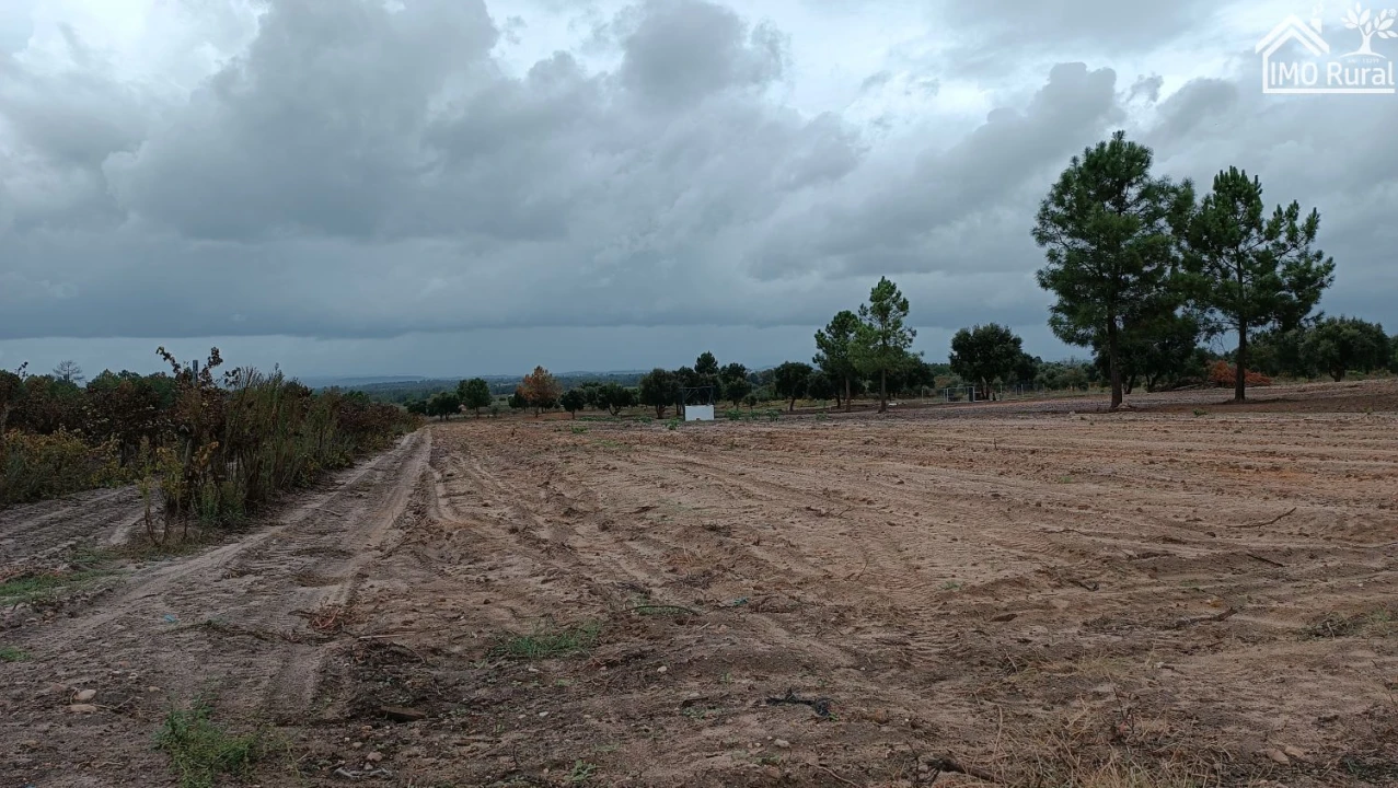 Terreno para Venda em Alpiarça Foto 14