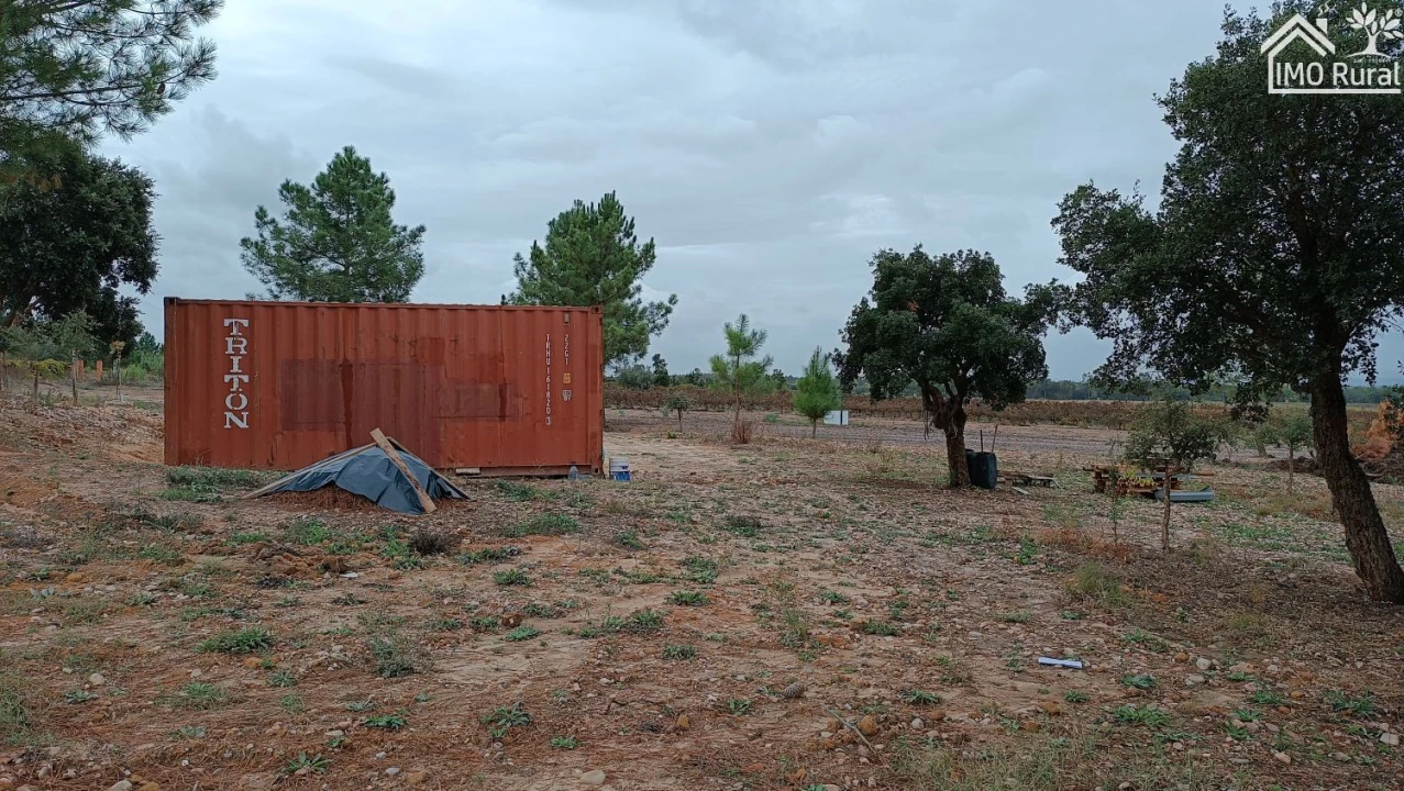 Terreno para Venda em Alpiarça Foto 5