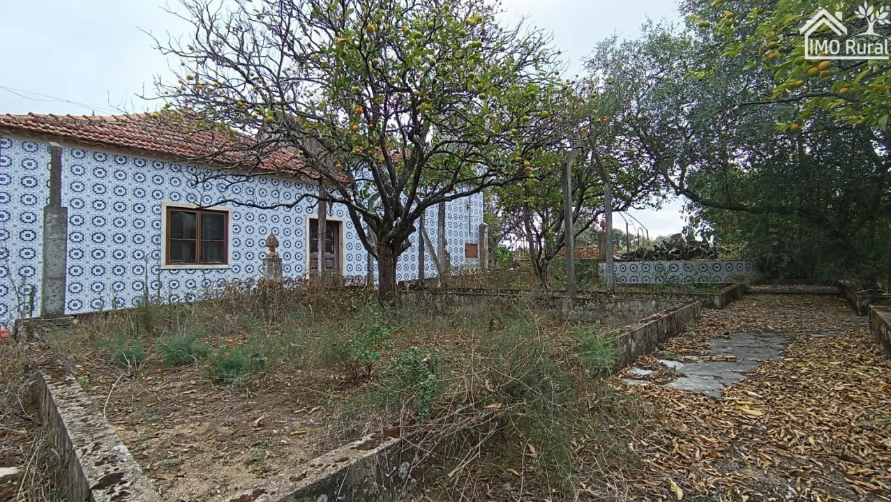 Quinta T4 para Venda em Marvila, Ribeira Santarém, São Salvador, São Nicolau Foto 1