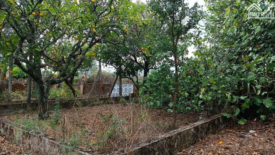 Quinta T4 para Venda em Marvila, Ribeira Santarém, São Salvador, São Nicolau Foto 13