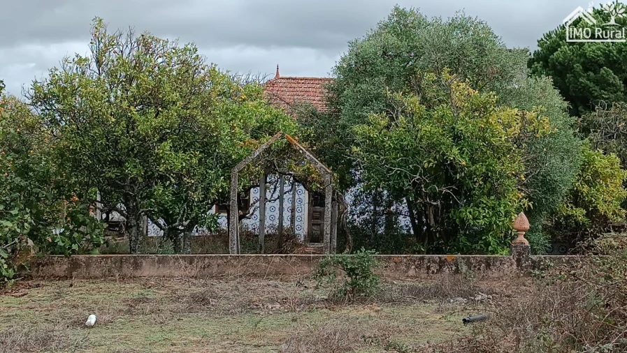 Quinta T4 para Venda em Marvila, Ribeira Santarém, São Salvador, São Nicolau Foto 6