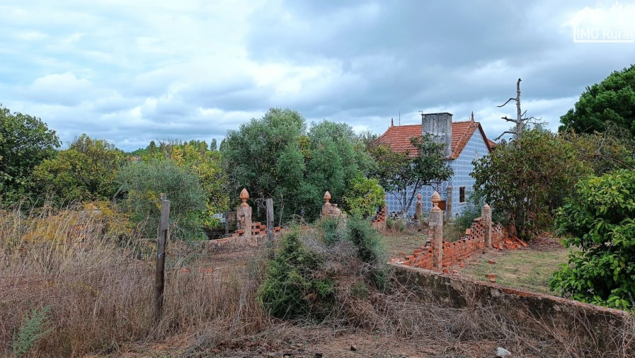 Quinta T4 para Venda em Marvila, Ribeira Santarém, São Salvador, São Nicolau Foto 2
