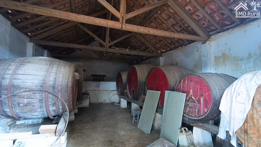 Quinta T4 para Venda em Marvila, Ribeira Santarém, São Salvador, São Nicolau Foto 29