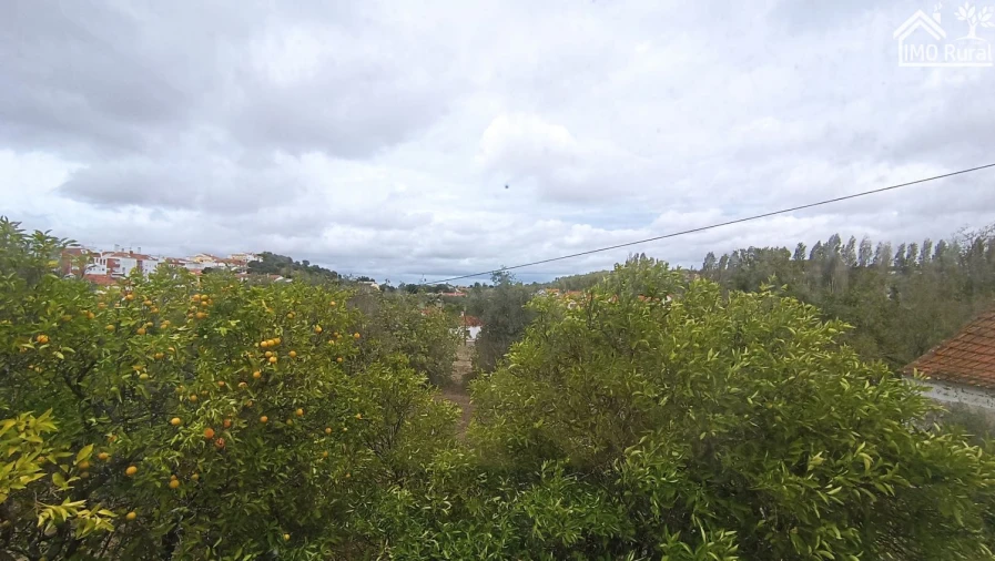 Quinta T4 para Venda em Marvila, Ribeira Santarém, São Salvador, São Nicolau Foto 40