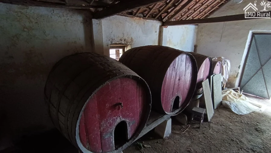 Quinta T4 para Venda em Marvila, Ribeira Santarém, São Salvador, São Nicolau Foto 30