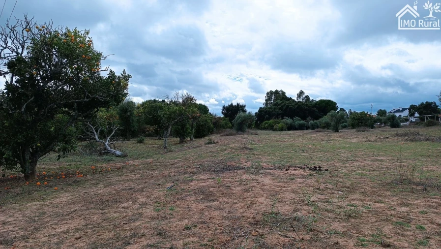 Quinta T4 para Venda em Marvila, Ribeira Santarém, São Salvador, São Nicolau Foto 14