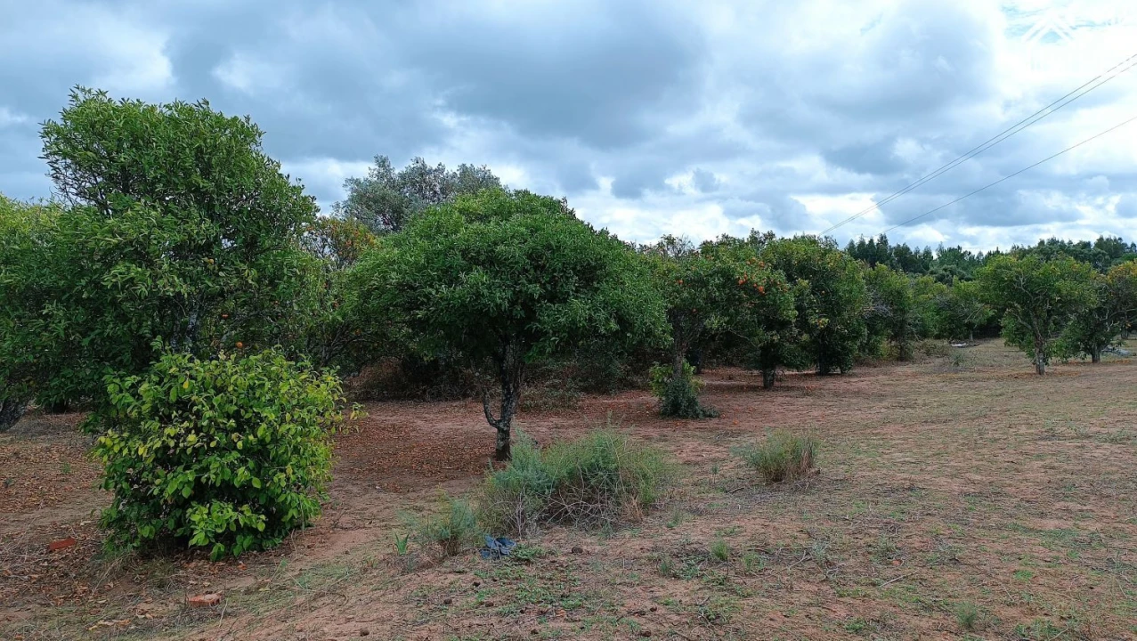 Quinta T4 para Venda em Marvila, Ribeira Santarém, São Salvador, São Nicolau Foto 15