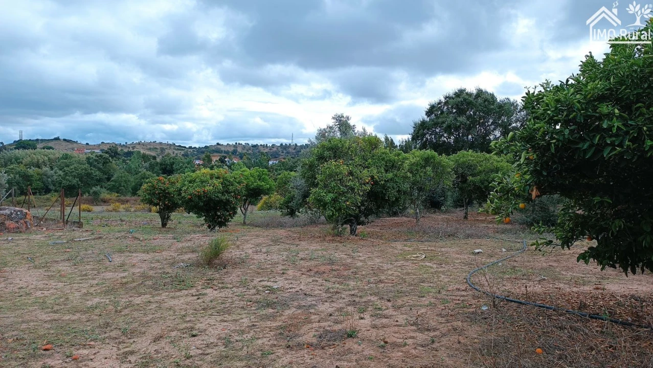 Quinta T4 para Venda em Marvila, Ribeira Santarém, São Salvador, São Nicolau Foto 37